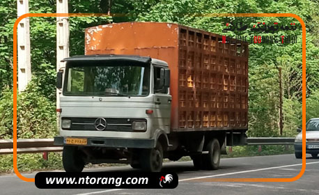 توقیف خودروهای حمل‌ مرغ بدون موقعیت یاب